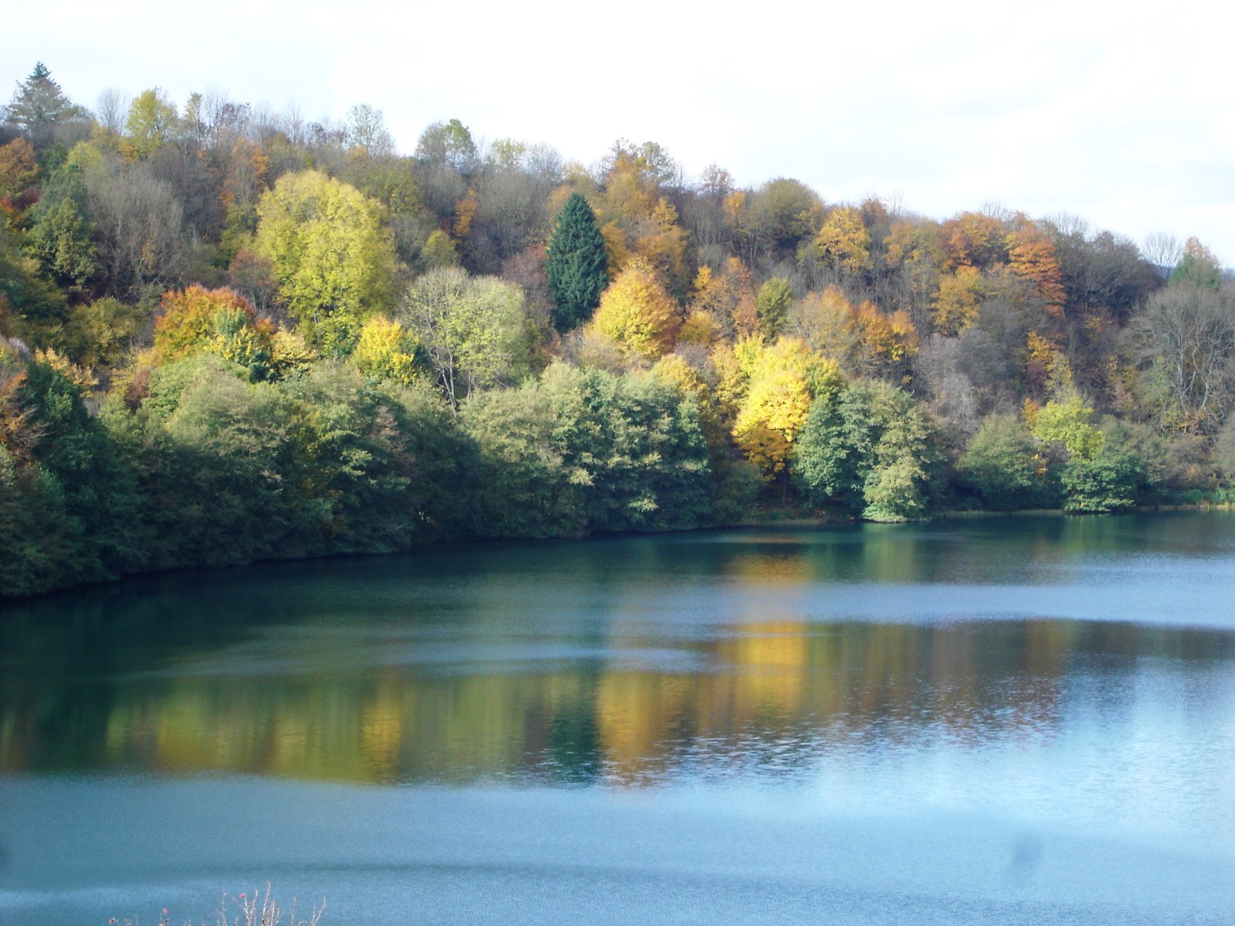 Natur an einem Maar in der Vulkaneifel